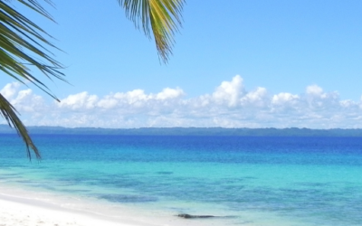 Ile de la Réunion 2025